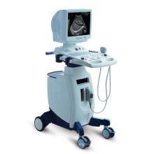 Trolley Ultrasound Machine Color Doppler (XT-FL036)